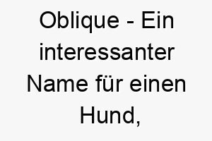 oblique ein interessanter name fuer einen hund der auf seine eigene einzigartige weise dinge betrachtet 23897