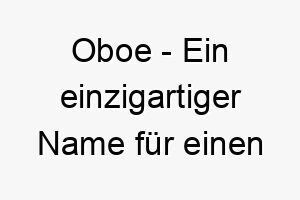 oboe ein einzigartiger name fuer einen musikalischen hund oder einen der gerne singt 23839