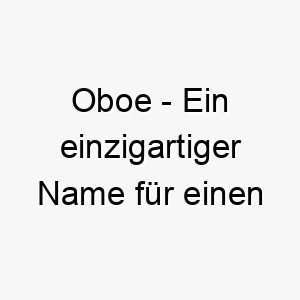 oboe ein einzigartiger name fuer einen musikalischen hund oder einen der gerne singt 23839