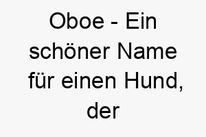 oboe ein schoener name fuer einen hund der gerne singt oder heult 23802