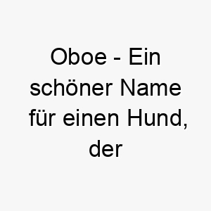 oboe ein schoener name fuer einen hund der gerne singt oder heult 23802