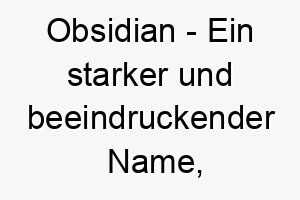 obsidian ein starker und beeindruckender name ideal fuer einen schwarzen oder dunkelfarbigen hund 23874