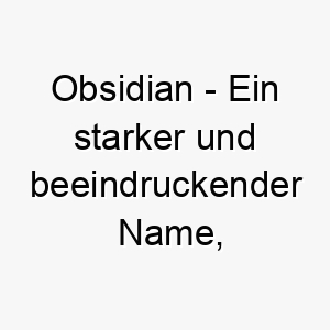 obsidian ein starker und beeindruckender name ideal fuer einen schwarzen oder dunkelfarbigen hund 23874