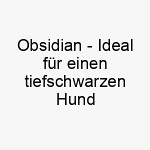 obsidian ideal fuer einen tiefschwarzen hund oder einen mit einem glaenzenden schwarzen fell 23790