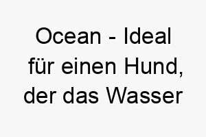 ocean ideal fuer einen hund der das wasser liebt oder eine ruhige friedliche natur hat 23784