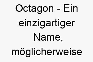 octagon ein einzigartiger name moeglicherweise fuer einen sturen hund der sich nicht leicht lenken laesst 23895