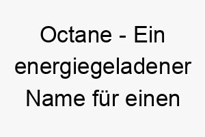 octane ein energiegeladener name fuer einen hund der immer in bewegung ist 23860