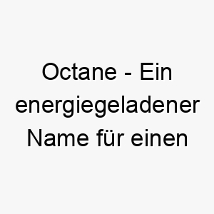 octane ein energiegeladener name fuer einen hund der immer in bewegung ist 23860