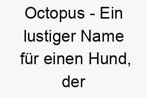 octopus ein lustiger name fuer einen hund der seine pfoten ueberall hat 23868