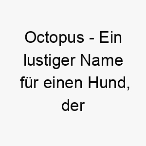 octopus ein lustiger name fuer einen hund der seine pfoten ueberall hat 23868