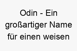 odin ein grossartiger name fuer einen weisen und maechtigen hund benannt nach dem gott in der nordischen mythologie 23815