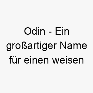 odin ein grossartiger name fuer einen weisen und maechtigen hund benannt nach dem gott in der nordischen mythologie 23815