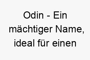 odin ein maechtiger name ideal fuer einen starken oder furchtlosen hund 23945