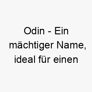 odin ein maechtiger name ideal fuer einen starken oder furchtlosen hund 23945