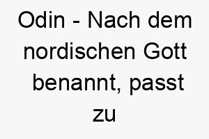 odin nach dem nordischen gott benannt passt zu einem weisen oder starken hund 23852