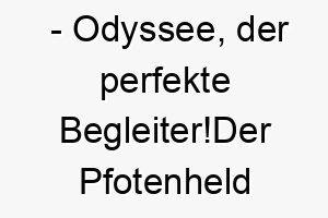 odyssee der perfekte begleiterder pfotenheld auf abenteuerkurs odyssee der perfekte begleiter 23770