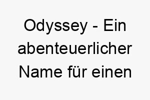 odyssey ein abenteuerlicher name fuer einen hund der gerne neue orte erkundet 23840