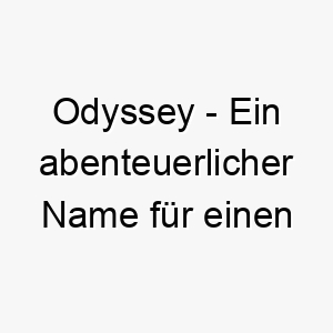 odyssey ein abenteuerlicher name fuer einen hund der gerne neue orte erkundet 23840