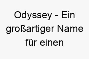 odyssey ein grossartiger name fuer einen abenteuerlustigen hund 23894