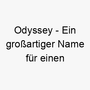 odyssey ein grossartiger name fuer einen abenteuerlustigen hund 23894