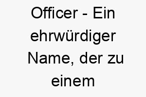 officer ein ehrwuerdiger name der zu einem mutigen und loyalen hund passt 23920