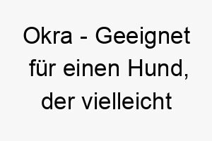 okra geeignet fuer einen hund der vielleicht gruenlich braun ist oder einen besonderen geschmack fuer dieses gemuese hat 23800