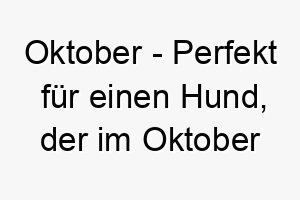 oktober perfekt fuer einen hund der im oktober geboren wurde oder eine herbstfarbgebung hat 23818