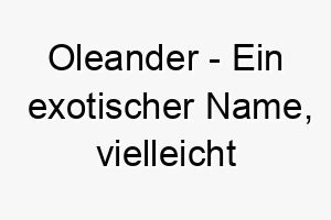 oleander ein exotischer name vielleicht passend fuer einen hund mit einer auffaelligen erscheinung 23841