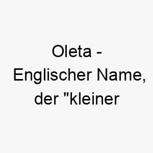 oleta englischer name der kleiner gefluegelter bedeutet 7291