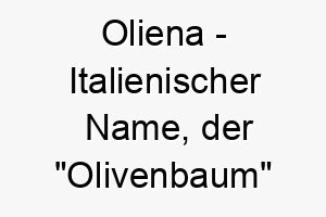 oliena italienischer name der olivenbaum bedeutet 7354