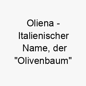 oliena italienischer name der olivenbaum bedeutet 7354