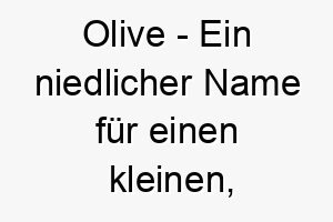 olive ein niedlicher name fuer einen kleinen freundlichen hund oder einen mit olivfarbenem fell 23850