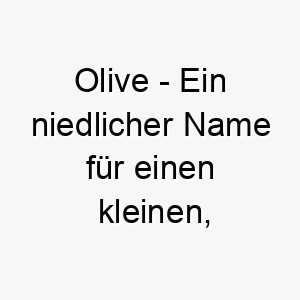 olive ein niedlicher name fuer einen kleinen freundlichen hund oder einen mit olivfarbenem fell 23850