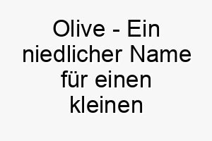 olive ein niedlicher name fuer einen kleinen oder mittelgrossen hund mit gruenlich braunem fell 23803