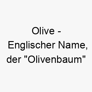 olive englischer name der olivenbaum bedeutet 7271