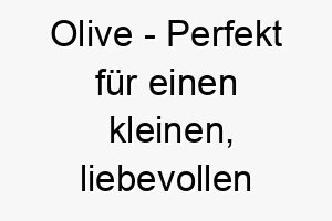 olive perfekt fuer einen kleinen liebevollen hund 23783