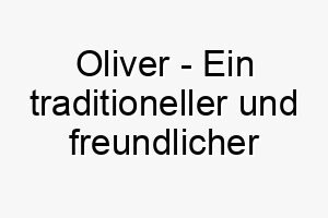 oliver ein traditioneller und freundlicher name der zu einem liebevollen und freundlichen hund passt 23881