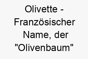 olivette franzoesischer name der olivenbaum bedeutet 7338