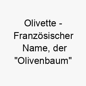 olivette franzoesischer name der olivenbaum bedeutet 7338