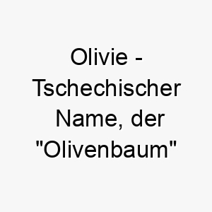 olivie tschechischer name der olivenbaum bedeutet 7363