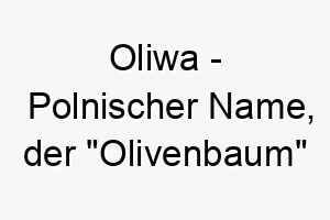 oliwa polnischer name der olivenbaum bedeutet 7332