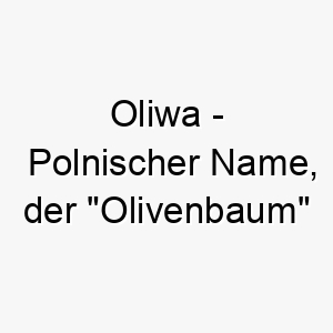 oliwa polnischer name der olivenbaum bedeutet 7332