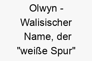 olwyn walisischer name der weisse spur bedeutet 7300