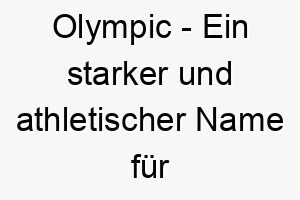 olympic ein starker und athletischer name fuer einen hund der in physischer leistung glaenzt 23842