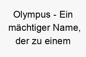 olympus ein maechtiger name der zu einem starken oder athletischen hund passt 23926