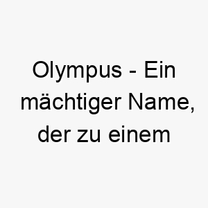 olympus ein maechtiger name der zu einem starken oder athletischen hund passt 23926