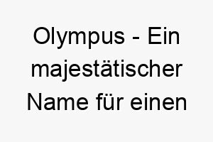 olympus ein majestaetischer name fuer einen grossen und stolzen hund 23798