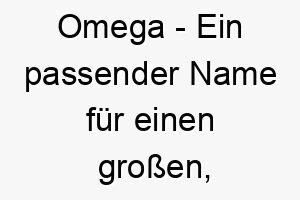 omega ein passender name fuer einen grossen starken hund 23787