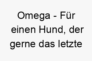 omega fuer einen hund der gerne das letzte wort hat 23901