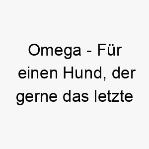 omega fuer einen hund der gerne das letzte wort hat 23901